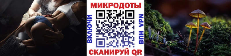 Галлюциногенные грибы Magic Shrooms  Новомичуринск 
