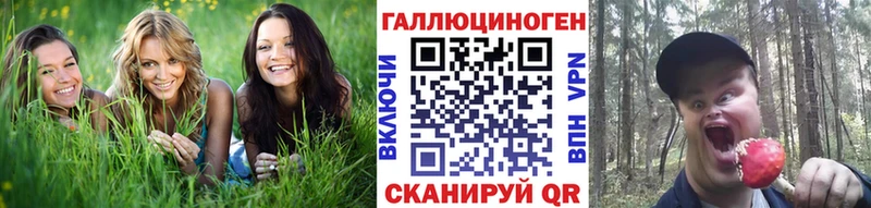 Галлюциногенные грибы Psilocybine cubensis Новомичуринск